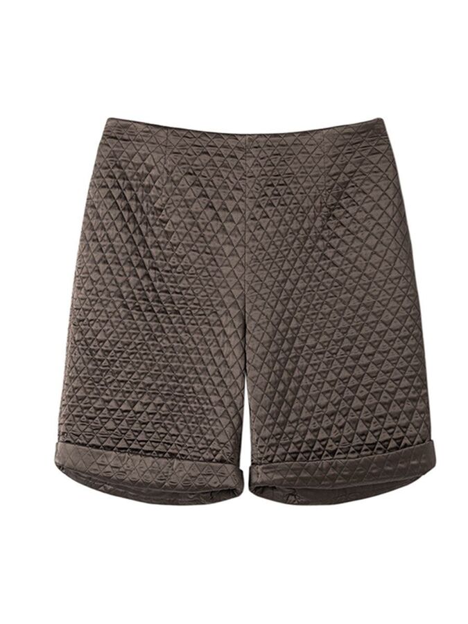 Silk Shorts view 5